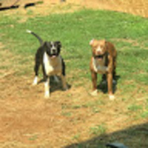 Meet your Posher, Julio